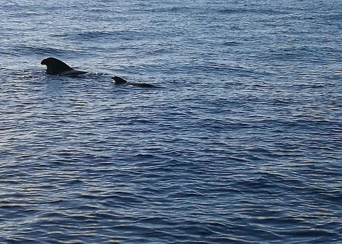 Aquarius Loft Апартаменты *