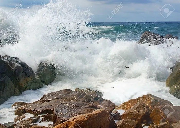 Aquarius Loft 아파트 칼라오살바헤