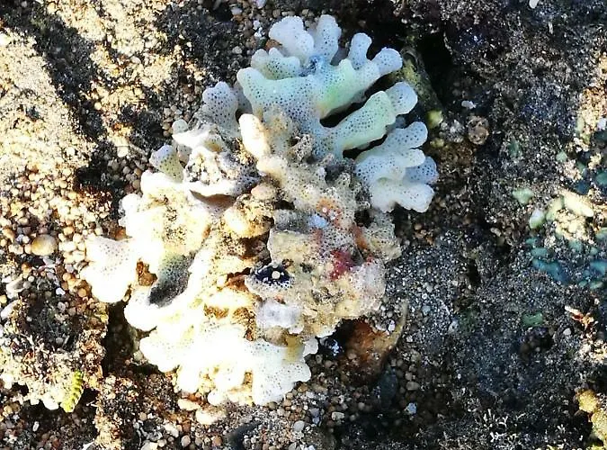 Aquarius Loft Апартаменты Кальяо-Сальвахе