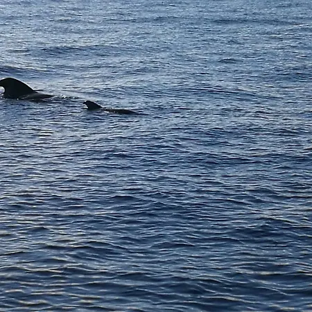 Aquarius Loft Apartament *