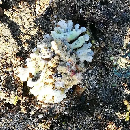 Aquarius Loft Apartament Callao Salvaje